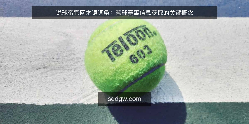 说球帝官网术语词条：篮球赛事信息获取的关键概念 — 信号观察：说球帝官网的赛事数据流 配图