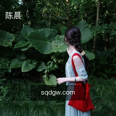 陈晨